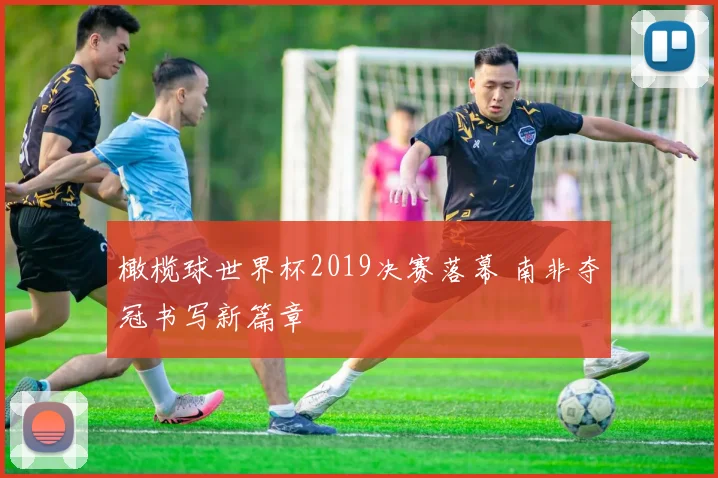 橄榄球世界杯2019决赛落幕 南非夺冠书写新篇章