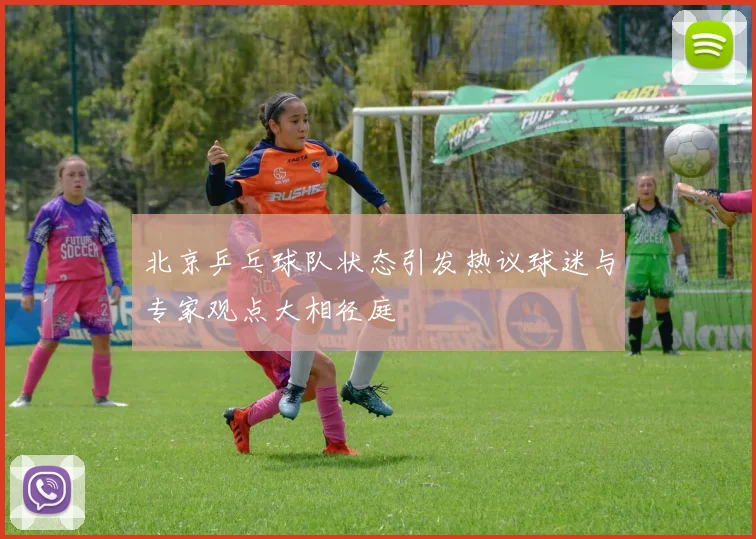 北京乒乓球队状态引发热议球迷与专家观点大相径庭