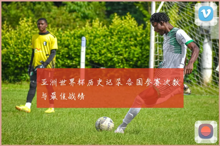 亚洲世界杯历史记录 各国参赛次数与最佳战绩