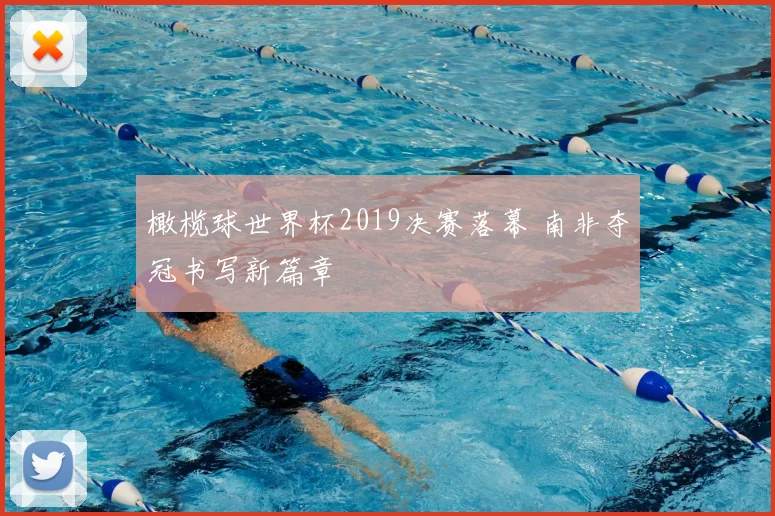橄榄球世界杯2019决赛落幕 南非夺冠书写新篇章