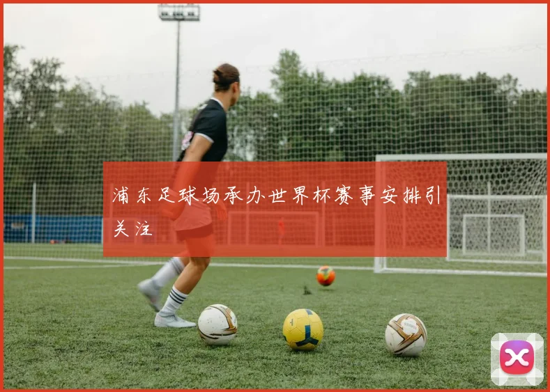 浦东足球场承办世界杯赛事安排引关注