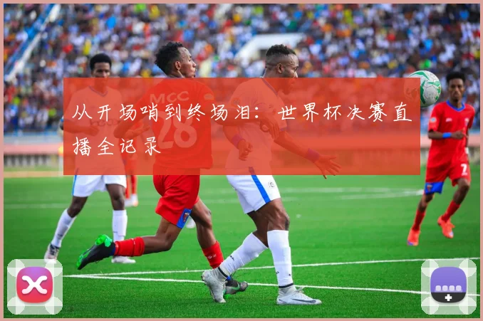 从开场哨到终场泪：世界杯决赛直播全记录