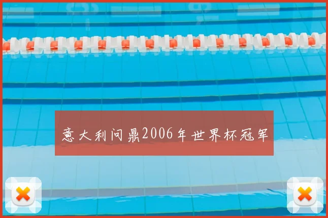意大利问鼎2006年世界杯冠军