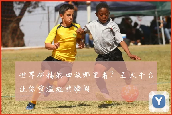 世界杯精彩回放哪里看？五大平台让你重温经典瞬间